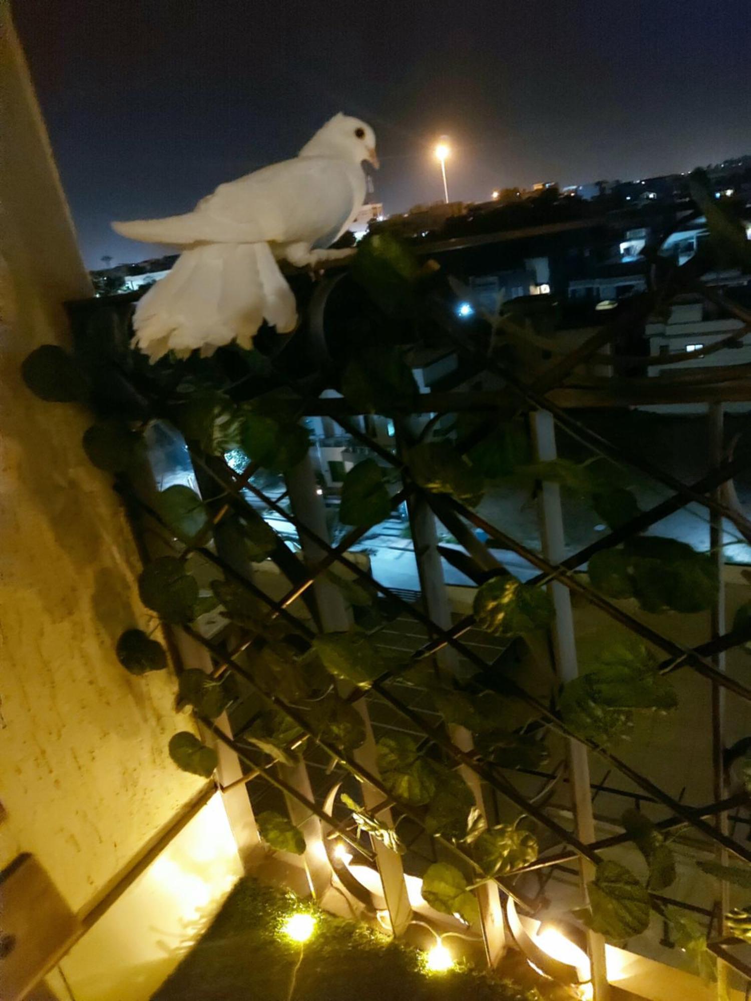 Aesthetic Scenic Luxurious Apartment - Bahria Heights Rawalpindi Exterior foto